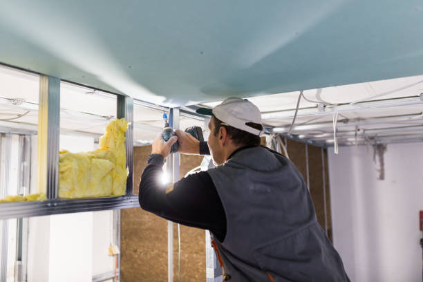 Best Insulation Replacement Services  in Wyncote, PA