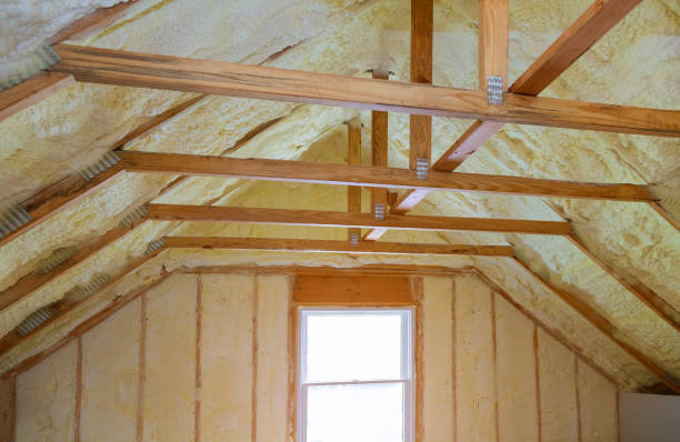 Best Insulation Removal  in Wyncote, PA